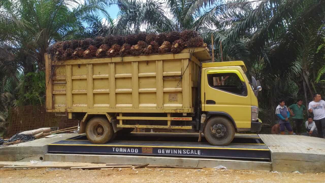 Jangan Biarkan Panas Mengganggu! Inilah Manfaat AC Truk bagi Pengemudi yang Wajib Anda Tahu
